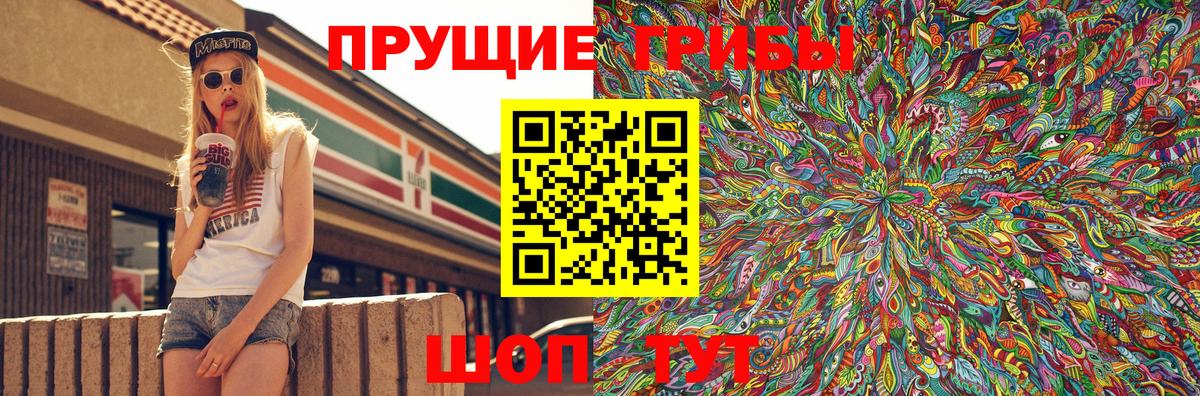 Канаш  Галлюциногенные грибы Psilocybine cubensis  Вход с VPN 